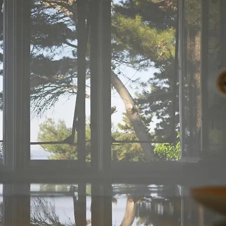 Διαμέρισμα Tinel